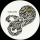 CODY CURRIE &ndash; Apollo 11
