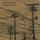 FIELD ROTATION &ndash; Nam Bandara