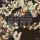 FLORIAN BERY &ndash; The Wave