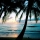 CAIBEDO ISLAND &ndash; Sensual Bossa
