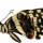 TWENTYEIGHT &ndash; Butterflies