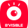 B.VISIBLE &ndash; Catch