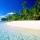 LU ORCHESTRA &ndash; Caribbean Green