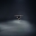 FUTURE PROOF &ndash; Sea Bird