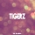 TIGERZ &ndash; I Got Someone
