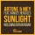 ARTONE & MEY & RAMSEY HERCULES &ndash; Sunlight (Boyan Remix)