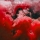 HAZERS &ndash; WHAT DO WE DO