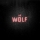 MUMFORD & SONS &ndash; THE WOLF