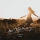 Harddope & Merdy &ndash; DONT STOP SHINING