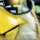 EL CAPON &ndash; SHUT UP CHICKEN