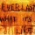 EVERLAST &ndash; What It's Like