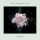 ZEDD & MAREN MORRIS & GREY &ndash; THE MIDDLE