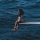SZA &ndash; Kill Bill