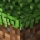 Minecraft Soundtrack &ndash; Haggstrom