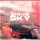 NEWERA &ndash; Birds In The Sky