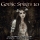 SIRENIA &ndash; The Path To Decay