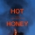 Tiesto & Alana Springsteen &ndash; Hot Honey