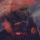 LARISS &ndash; ANIMAL