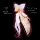 David Guetta & Sia &ndash; Floating Through Space